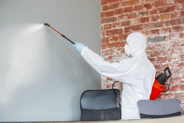 Professional Mold Removal in Missoula, MT
