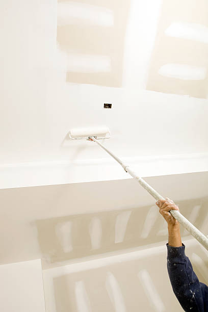 Best Dehumidification Services  in Missoula, MT