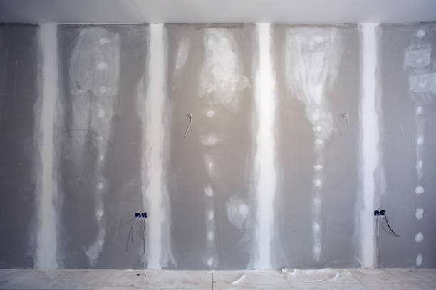Best Mold Removal for HVAC Installations  in Missoula, MT